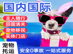 重庆仙女山航空货运国际宠物托运 【国